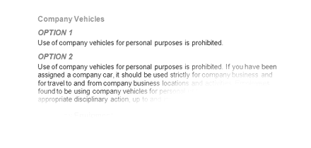 Use of Company Velicles Policy